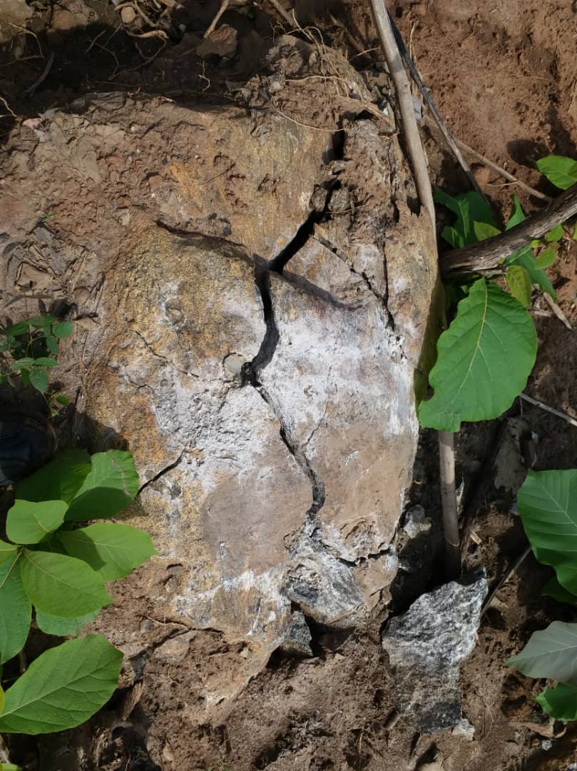 CU Fredson Image (1)