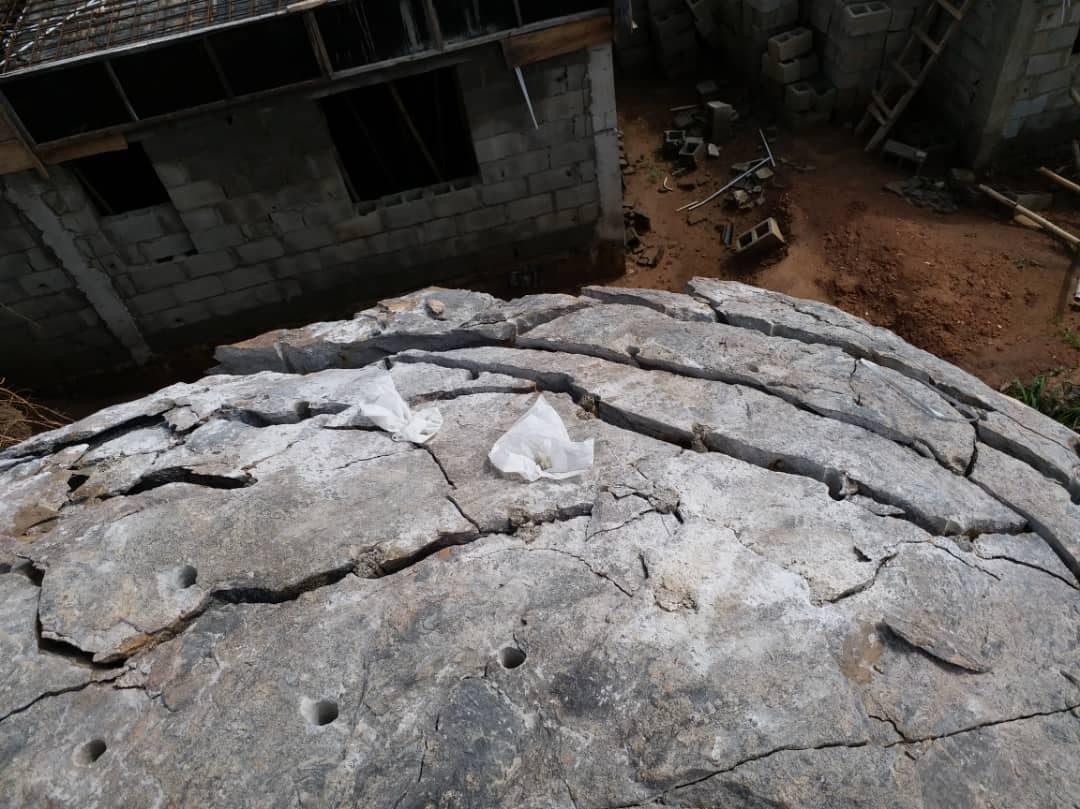 CU Fredson Image (3)